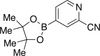 2-Cyanopyridine-4-boronic Acid Pinacol Ester - C987680 - Toronto Research Chemicals, Inc.