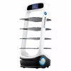 Service Robots -- Robot-T6 - Image