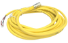 QD Cable/Cord Set - Radwell International