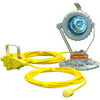 Explosion Proof Light - Inline Transformer 120V/12V - 150 Watt Bulb - Class 1 Groups C,D - 100' Cord -- EPL-PM-1X150-120X12I-100