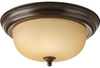 P3925-20T Flush Mounts-Bowl Style - 604193 - Capital Lighting, Inc.