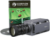 ScorpionBasic - Image