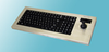 NEMA 4X Sealed Industrial Keyboard with Industrial Mouse -- KIF9000 Series - Image