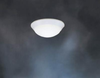 Flush Mounts-Bowl Style - 239405 - Light Center (The)