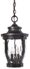 Exterior -Hanging - 21095 - Light Center (The)