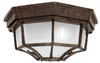 9800TS Exterior -Ceiling Mount - 732019 - Capital Lighting, Inc.