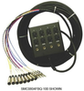 SMC Series 12 Channel Snake (8 Mic, 4 XLR Returns, 100') - 80583 - TMP Pro Distribution