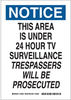 Security Sign - 123601 - Brady Corporation