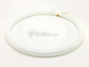 40 Watt, 16" Diameter Cool White T9 Circline Bulb - 391185 - bulbs.com
