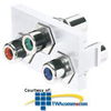 Panduit® NetKey 1/3 Insert Module with 3 RCA Pass-.. - CHR3RGB - TelephoneStuff.com
