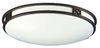 F206149U Flush Mounts-Bowl Style - 733368 - Capital Lighting, Inc.