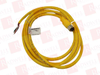 QD Cable/Cord Set - 4260563 - Radwell International