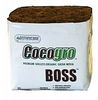Boss 10