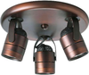 P6153-174WB Semi-Flush Mts.-Spot Lights - 728622 - Capital Lighting, Inc.