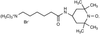 6-Triethylammonium-hexanoic Acid, 4-Amin-TEMPO Amide Bromi.. - T775930 - Toronto Research Chemicals, Inc.