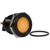 Panel Indicators, Pilot Lights - 2449-IN22ABO110C-ND - DigiKey