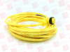 QD Cable/Cord Set - 62985880 - Radwell International