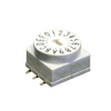 DIP Switches - 2449-RD10RA16CGRTR-ND - DigiKey