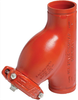 Wye Type Strainer -- Series 732 - Image