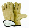 Gloves -- L625L - Image