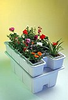 Turbo Garden Aeroponic - BCHSTGAERO - Hydrofarm, Inc.