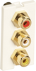 Office White (3) RCA Modular Wallplate Module 1U - FM575 - Black Box
