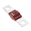 Fuses - 18-4998080.M-M6-ND - DigiKey