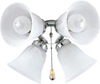 P2610-09 Fans-Light Kits - 786218 - Capital Lighting, Inc.