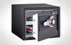 Combination FIRE-SAFE&reg; - DS0207 - Sentry Group