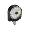 Industrial Lighting - Task Lighting - WL50-2PB - Quarktwin Technology Ltd.