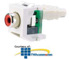 Panduit® NetKey Keystone Module with RCA Punchdown.. -- NKRPM