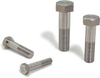 Duplex Stainless Steel Hexagon Head Screw -- SNHDS-M12-30 - Image
