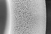 Haemodialysis Capillary Membranes DIAPES® LF100