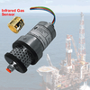 FGD5/6-IR Pellistor Replacement Gas Detectors -- FGD5-6