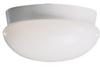 Flush Mounts-Bowl Style - 239732 - Light Center (The)