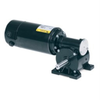 Gear Motor - Radwell International