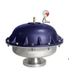 PULSATION DAMPENERS - A4050B - Blacoh Fluid Control, Inc.