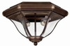 Exterior -Ceiling Mount - 259013 - Light Center (The)