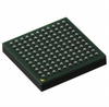 ARM Microcontrollers - MCU Cortex M0+ Core,Flex USB -- 568-MKL36Z256VMC4