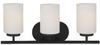41162BLE-839 Bathroom Fixtures-Three Lights - 361458 - Capital Lighting, Inc.