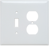 Combination Openings, 1 Toggle Switch & 1 Duplex Receptacle -- SPO18W - Image