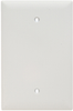 Blank Plate, Box Mounted, One Gang, White -- TPJ13W - Image
