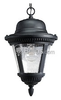 One-Light Outdoor Hanging Lantern Fixture - P5530-31 - bulbs.com