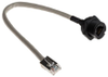 Ethernet Cable -- 1116736 - Image