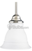 Mini-Pendant Fixture - P5096-09 - bulbs.com