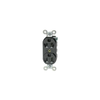 Plugs and Receptacles - 1301480117-ND - DigiKey