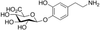 Dopamine 4-β-D-Glucuronide - D533795 - Toronto Research Chemicals, Inc.