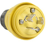 Locking Device Plug -- 24W34 - Image