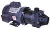 Ryton PPS Magnetic Drive Pump, 53 GPM, 230/460 VAC -- GO-07085-05 - Image