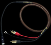 Golden Presence Phono - Image